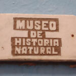Museo espirituano de Historia Natural fomenta en los niños respeto por el medio ambiente