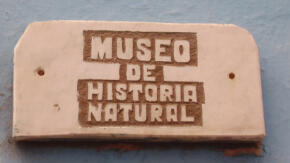 Museo espirituano de Historia Natural fomenta en los niños respeto por el medio ambiente
