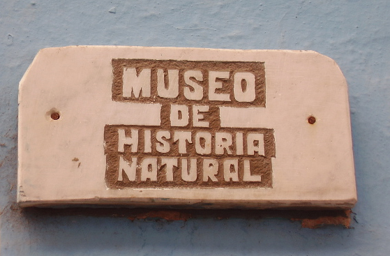 Museo espirituano de Historia Natural fomenta en los niños respeto por el medio ambiente