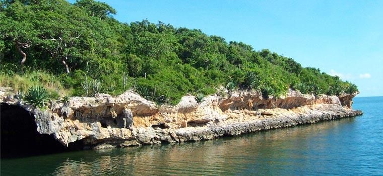 Proyectos internacionales irradiarán a favor de ecosistemas espirituanos