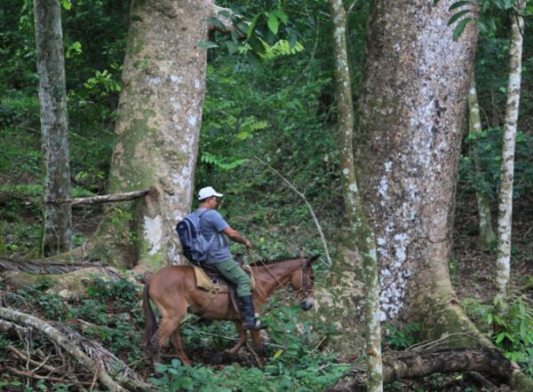 La conservación de los ecosistemas predomina en Lomas de Banao. Foto: Oscar Alfonso Sosa.