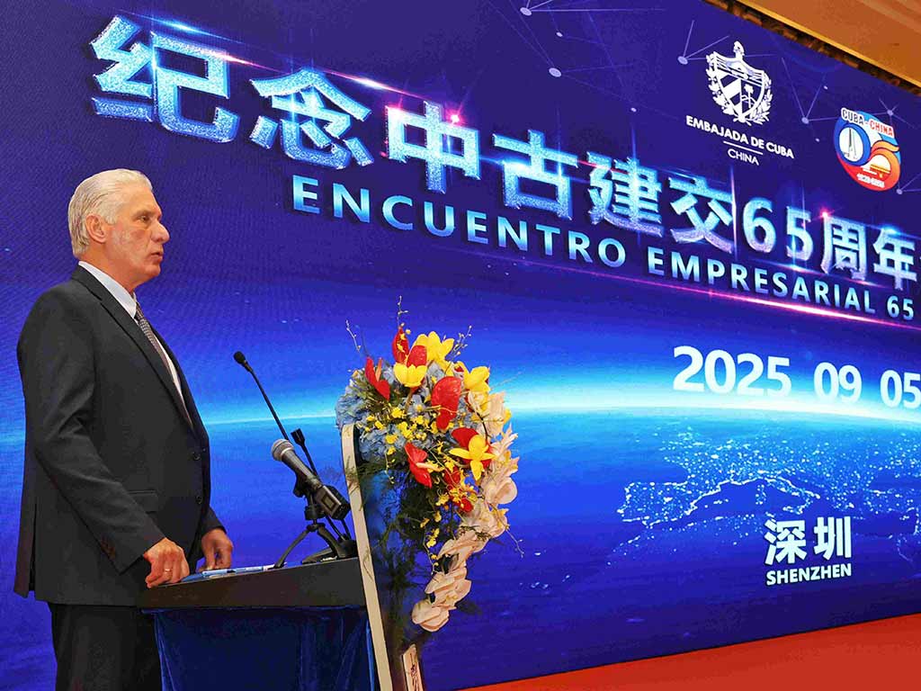 Díaz-Canel dialoga con empresarios de China interesados en Cuba (+Fotos)