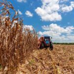 Reconocen aportes en el sector agroalimentario en el contexto del día de la ciencia cubana