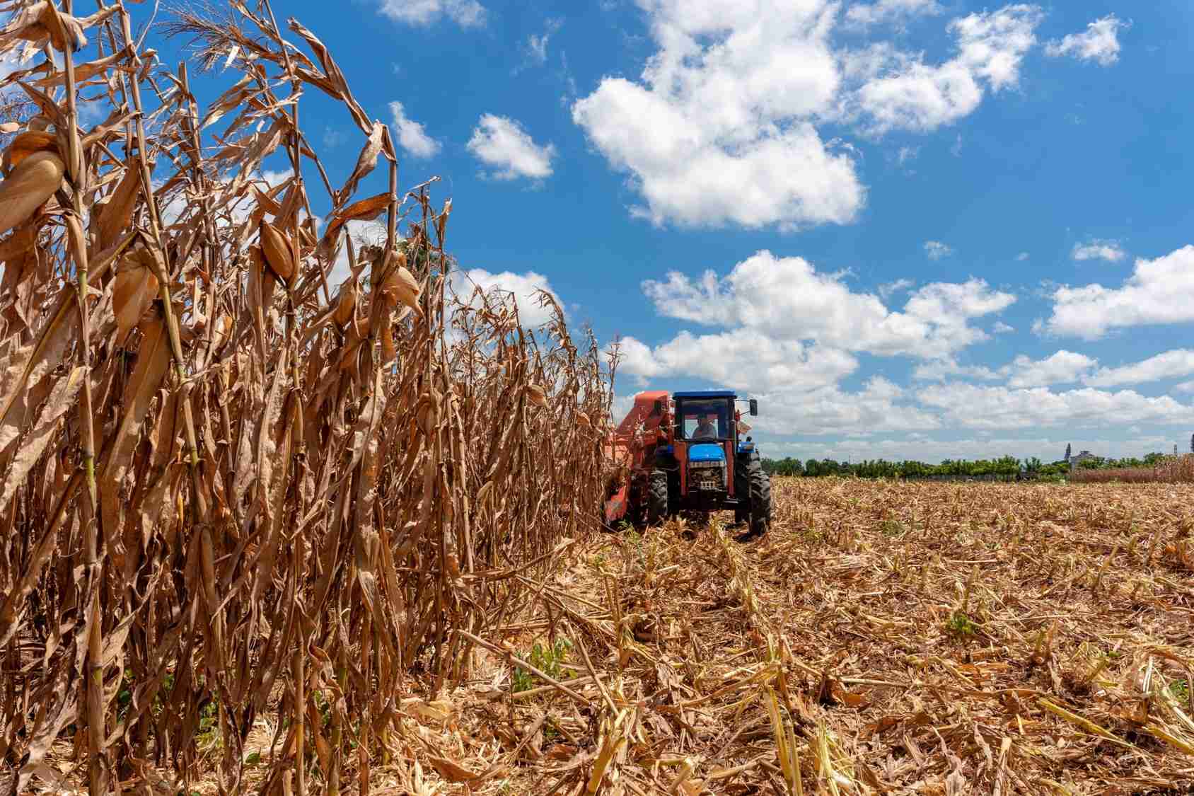 Reconocen aportes en el sector agroalimentario en el contexto del día de la ciencia cubana