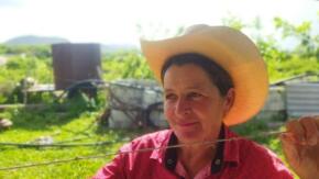 Guajiras de corazón