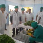 Inaugurada planta integral de procesamiento del polvo de moringa