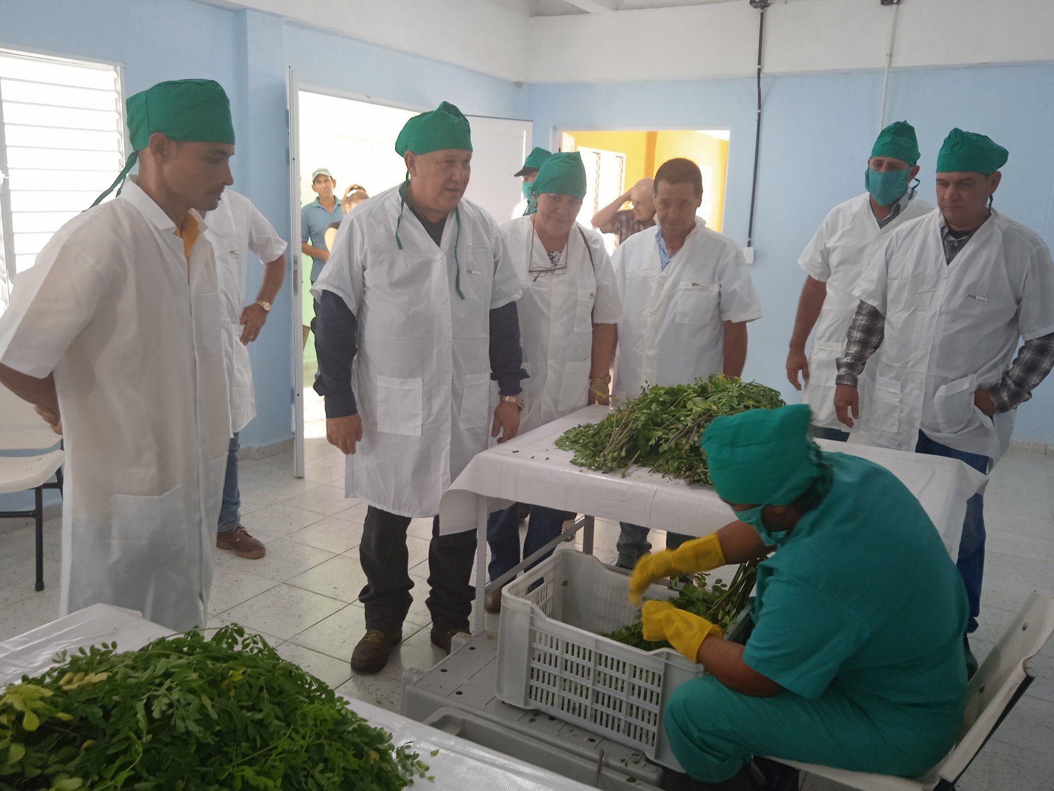 Inaugurada planta integral de procesamiento del polvo de moringa