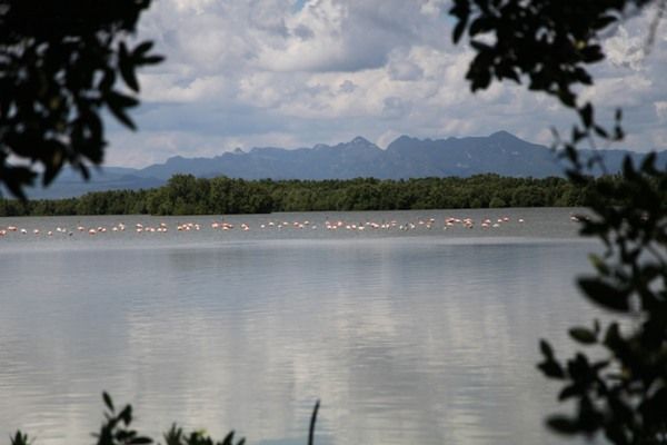Los humedales, con todas sus riquezas, precisan de una vigilancia y cuidado permanentes. Foto: Oscar Alfonso Sosa.