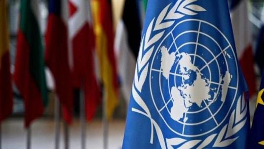 Electa Cuba para dos importantes órganos de la ONU