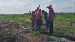 Buscan actualizar cronograma ejecutivo de parque solar de Tuinucú