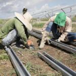 Constructores suman prisa en Arroyo Lajas