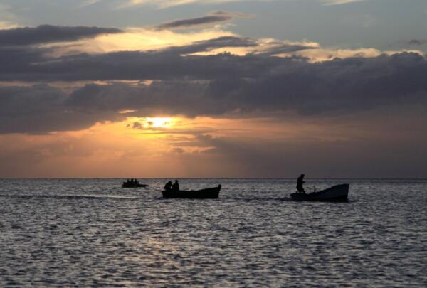 Los atardeceres muestran estas imágenes. Foto: Oscar Alfonso Sosa.