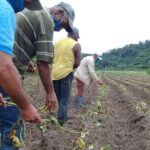 Agua parece estar más cerca de tierras del Polo Productivo de San Andrés