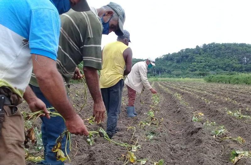 Agua parece estar más cerca de tierras del Polo Productivo de San Andrés