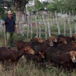 El buen hacer del polo productivo Vista Alegre