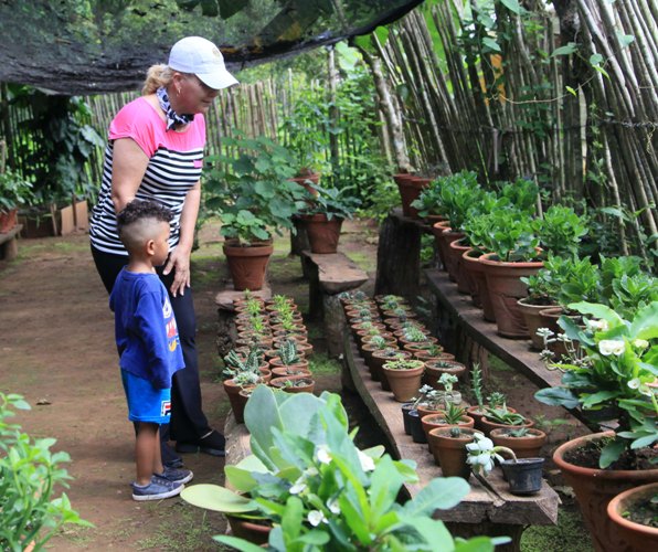 En la ruralidad el cultivo de plantas ornamentales y flores gana espacios. Foto: Oscar Alfonso Sosa.
