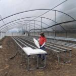 Las posturas de Don Carlos