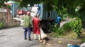 Limitaciones de combustible e indisciplina social afectan recolección de desechos sólidos en Sancti Spíritus