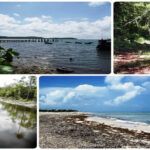 Presentan ley del sistema de recursos naturales en Cuba