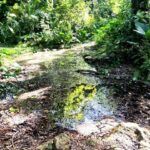 Empresa Flora y Fauna de provincia espirituana, ejemplo de integración