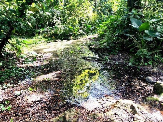 Empresa Flora y Fauna de provincia espirituana, ejemplo de integración