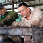Inventiva espirituana garantiza funcionamiento de combinada cañera
