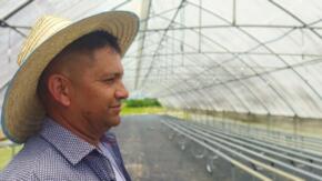 Richard Álvarez y el lenguaje del tabaco tapado
