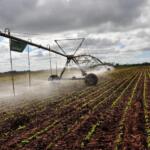 Nuevo proyecto internacional a favor de la agricultura de precisión entrará en vigor en Sancti Spíritus