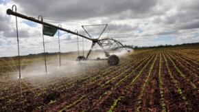 Nuevo proyecto internacional que favorecerá la agricultura de precisión entrará en vigor en Sancti Spíritus