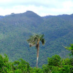 Topes de Collantes: paraíso entre las nubes
