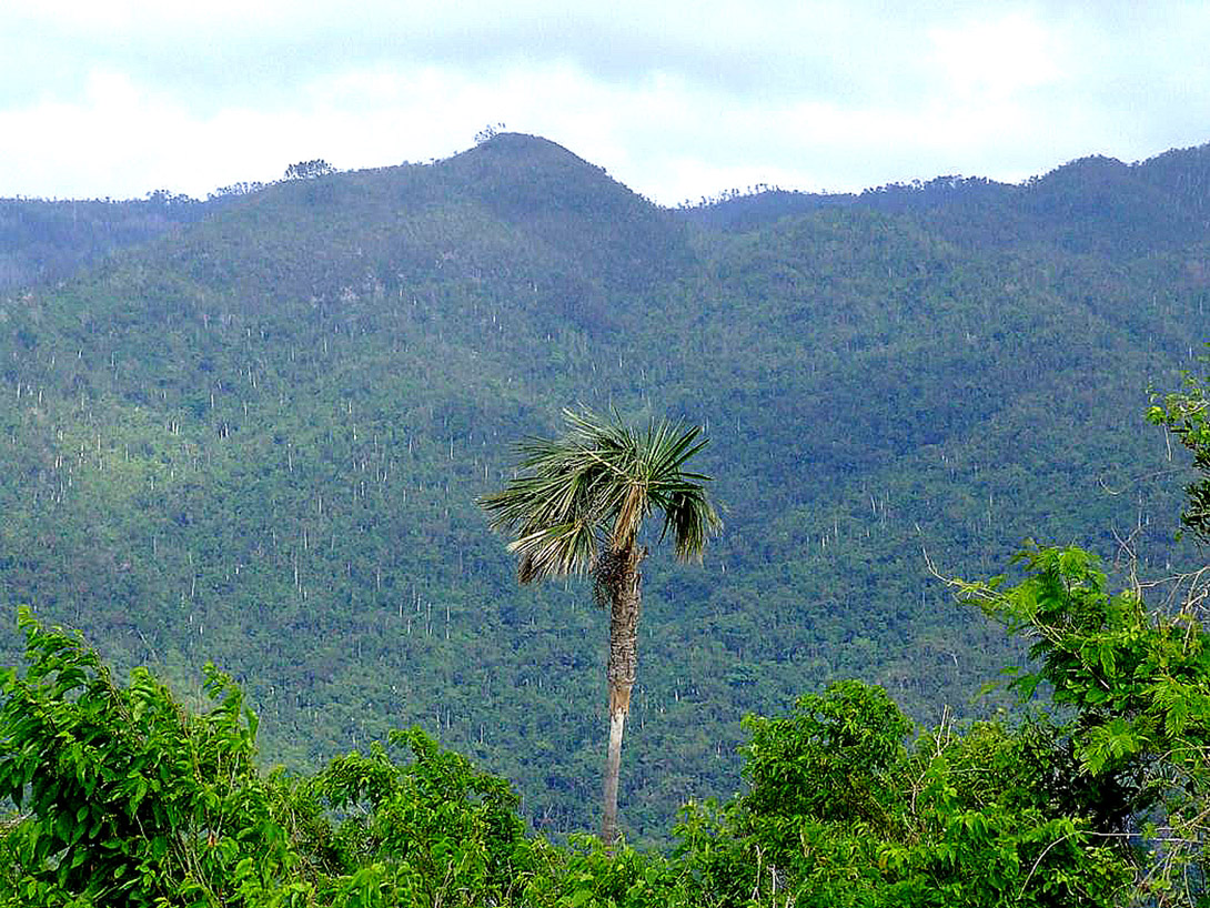 Topes de Collantes: paraíso entre las nubes