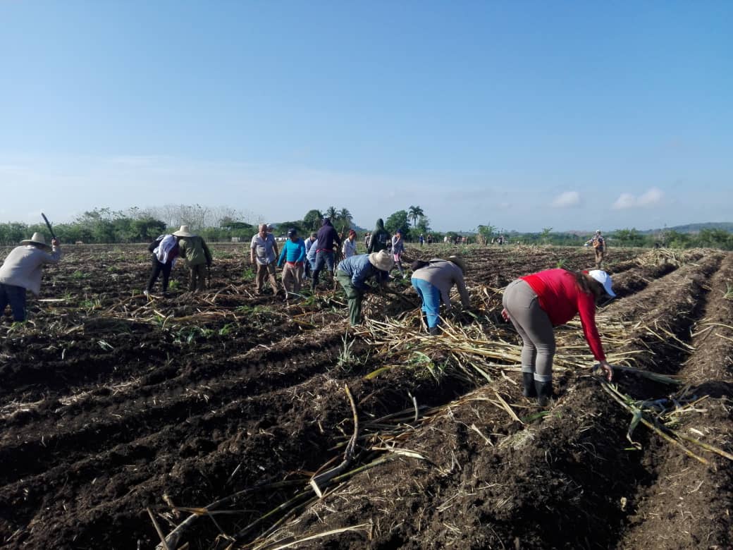Reanimación productiva en Empresa agroindustrial azucarera Melanio Hernández