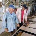 Evelio Cao, una vida tras los molinos arroceros