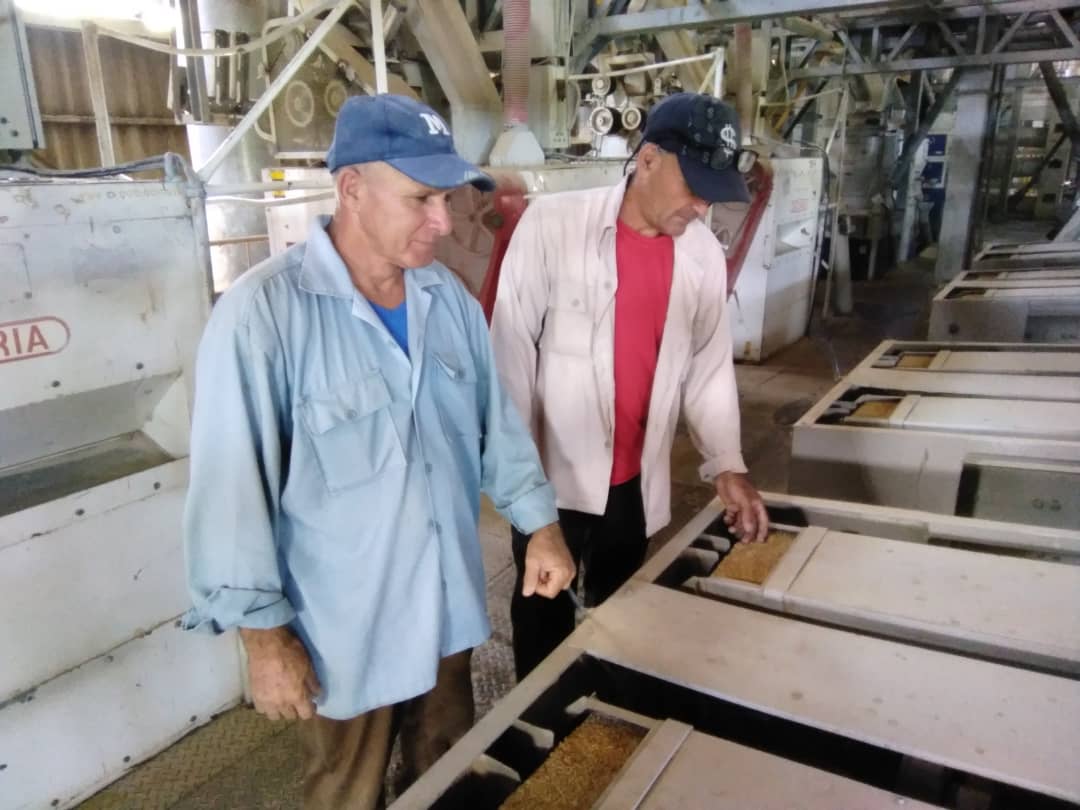 Evelio Cao, una vida tras los molinos arroceros