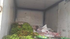 Solidaridad en tiempo de ciclón: productores de La Sierpe apoyan dieta de niños hospitalizados