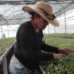 Soraya y su pacto con la tierra (+ fotos)