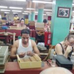 Maestro en la fabricación de puros exportables