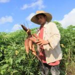 Tema de soberanía alimentaria en agenda gubernamental