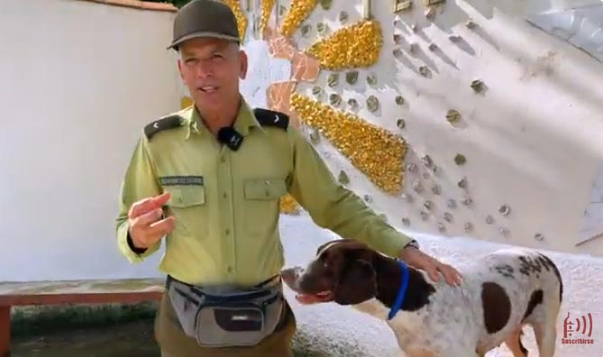 Sancti Spíritus: Con la técnica canina también se enfrenta el delito (+video)