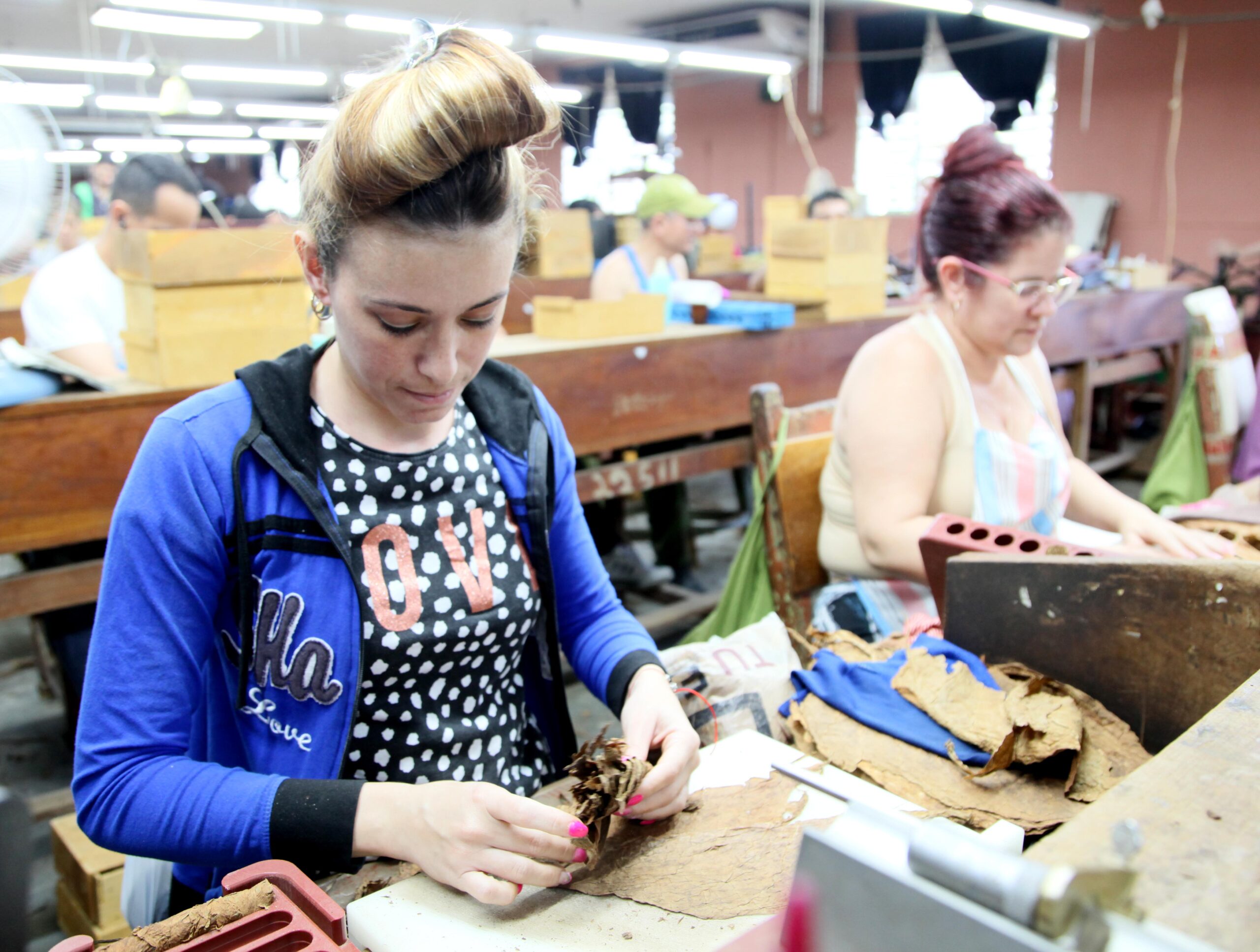 Las hadas del preciado aroma