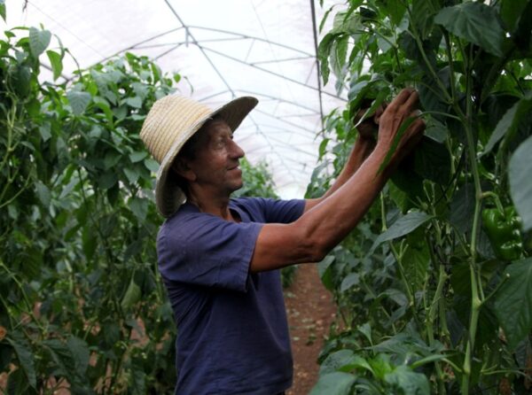 Cada alternativa de producción es bienvenida y el hombre está ahí para respaldarla. Foto: Oscar Alfonso Sosa.