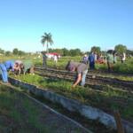 Tareas prioritarias concentran labores de trabajo voluntario en Sancti Spíritus (+ post)