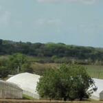 Municipios sostenibles por perfeccionar sus estrategias de desarrollo