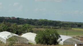 Municipios sostenibles por perfeccionar sus estrategias de desarrollo