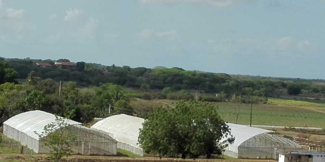 Municipios sostenibles por perfeccionar sus estrategias de desarrollo