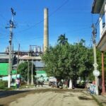 Tuinucú, con olor a melaza