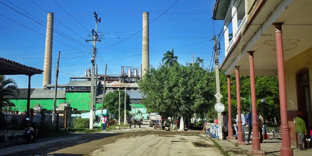 Tuinucú, con olor a melaza
