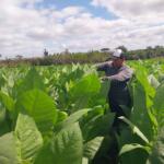 La batalla de Yuniel