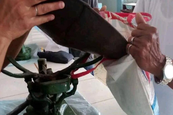Comercio Interior actualiza sobre la canasta familiar normada
