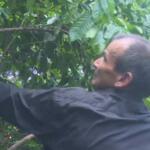 Bajo la sombra del café y la esperanza
